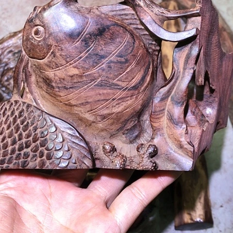 黄花梨/降香黄檀