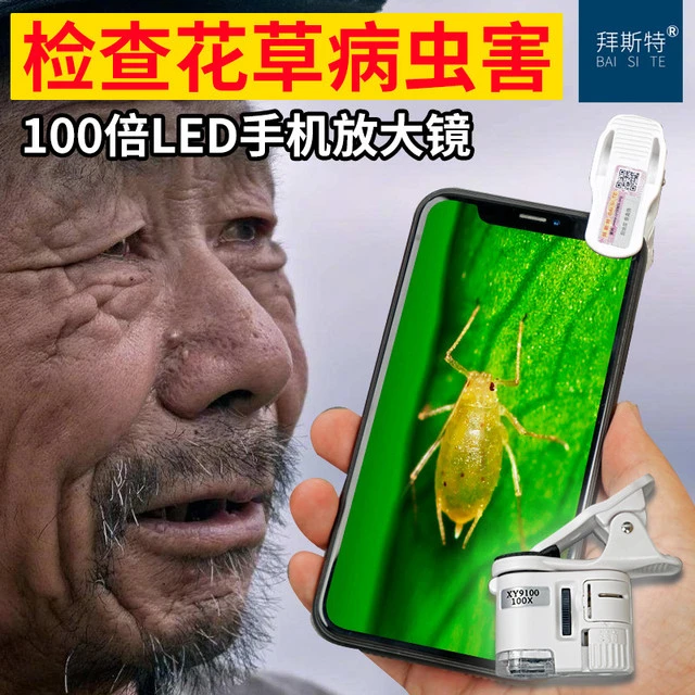 手机放大镜看农业病虫害月季草莓蓟马红知蛛螨虫100倍高清显微镜