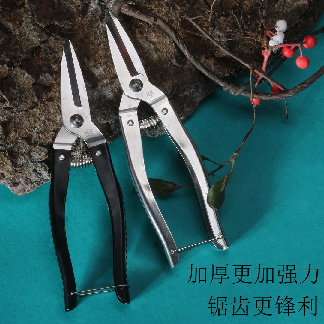 不锈钢摘果剪修枝剪刀果园采摘水果专用自动回弹剪加厚密齿水果剪