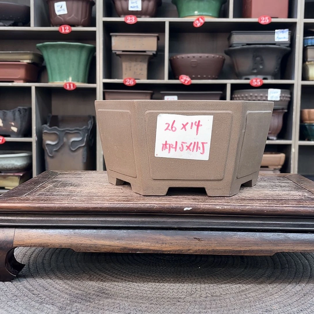 紫砂花盆紫砂的花开得很