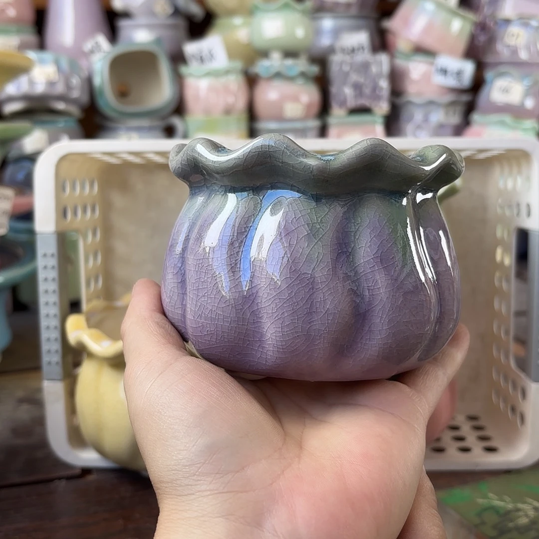 ❃***࿐量货/口8高8深浅搭配发4