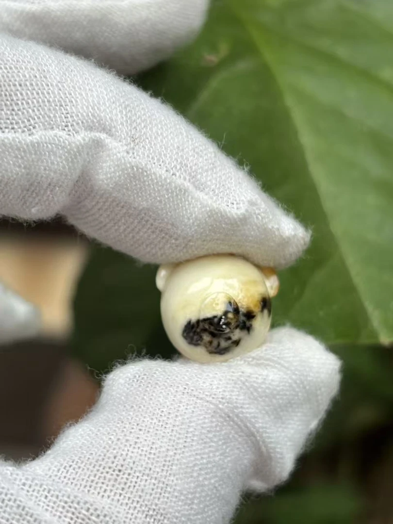 1932天然蜜蜡琥珀奥利奥小熊头14.3x13.1x10.8mm