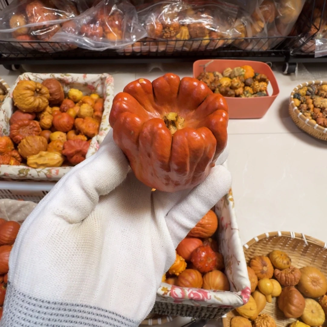 流***雨特价葫芦不退不换