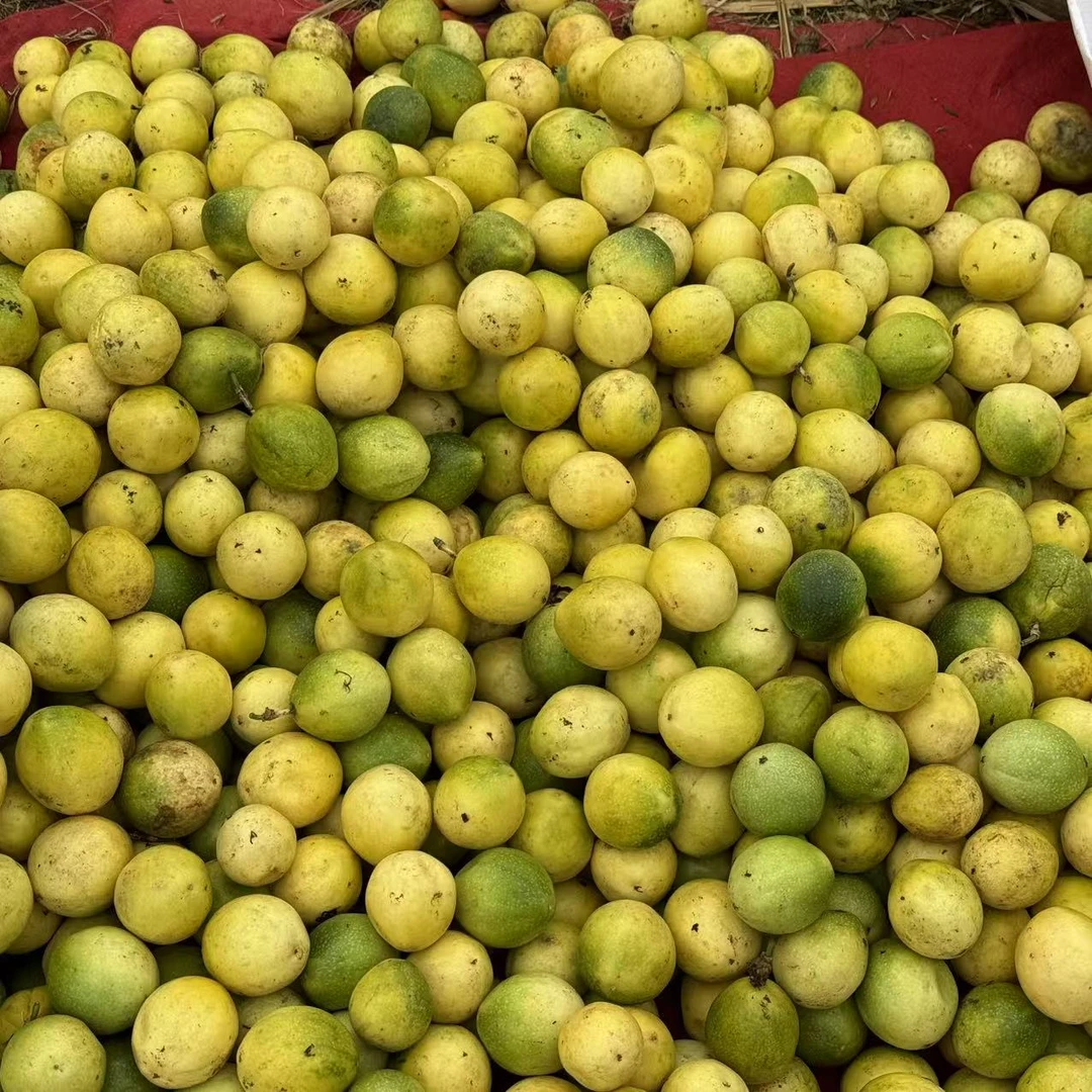 【箱装】广西新鲜百香果偏黄大小混搭农家传统种植浓郁果香3/4.5斤