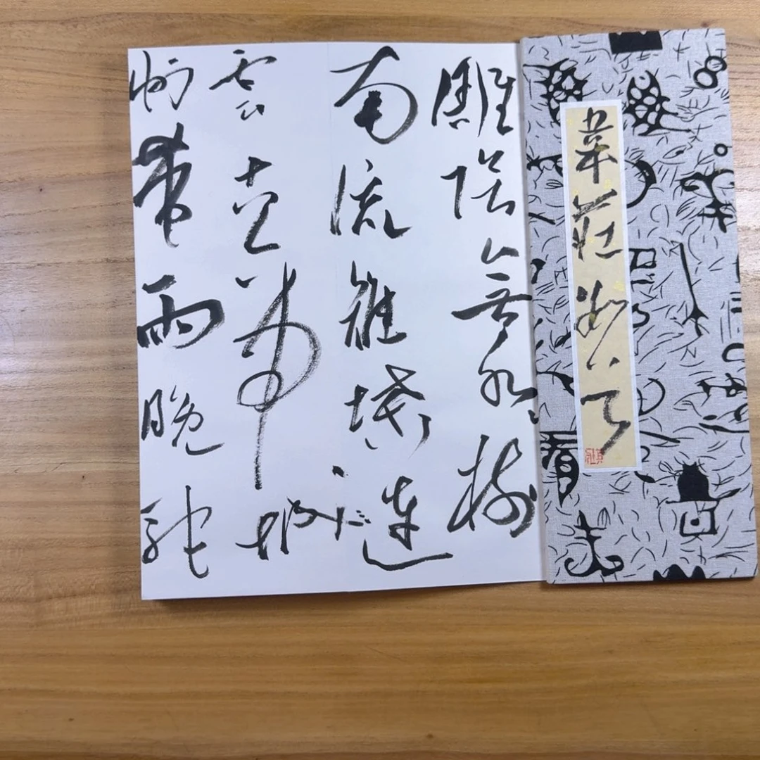 书法中书协老师书法