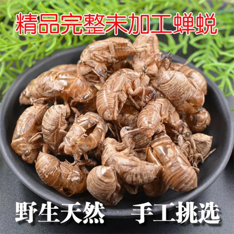 【正品保证】秦岭野生蝉蜕蝉衣中药知了壳知了猴皮包邮