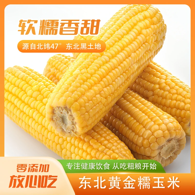 【试吃2根】2025年头茬东北黄糯玉米10支整箱6斤软糯香甜