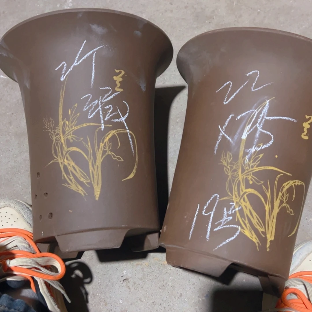 紫砂19………………………………