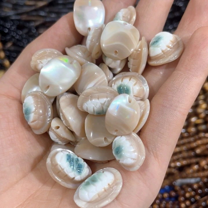 三***妈贝壳非金属3个打包龟龟