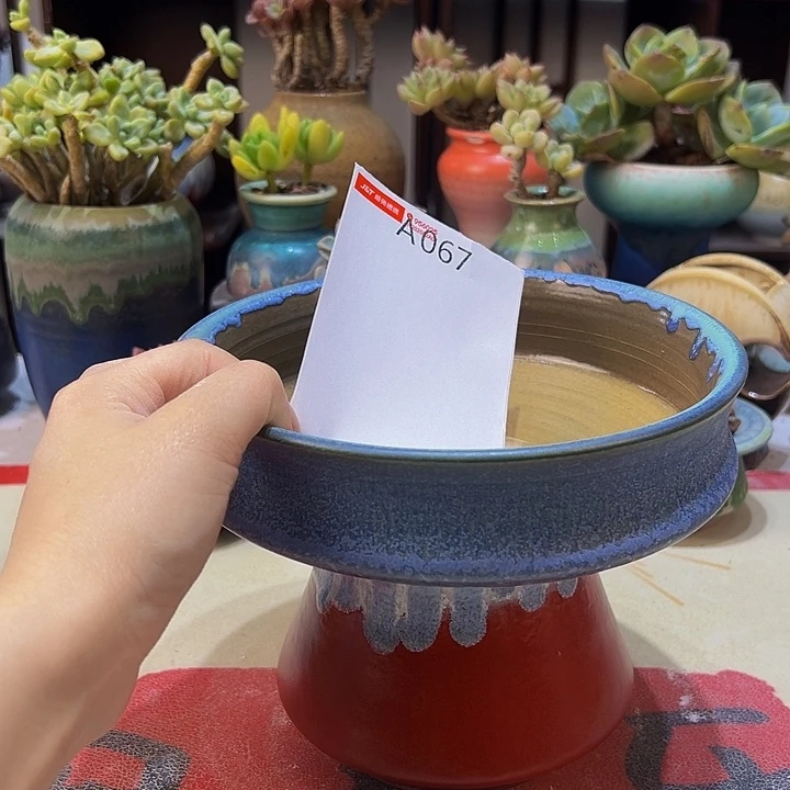 景德镇陶瓷研究所猫***只