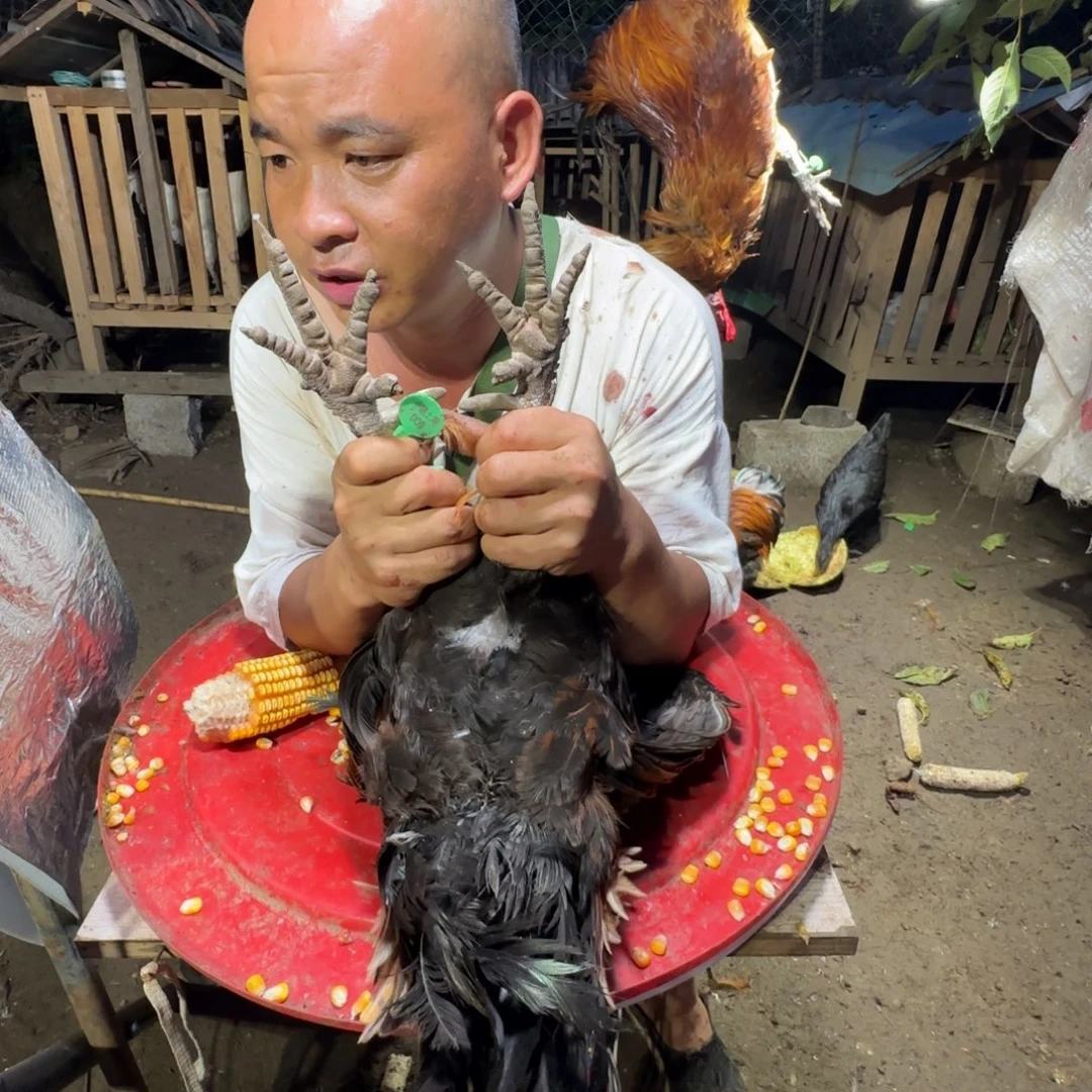 009中国大陆包装樱桃鸡