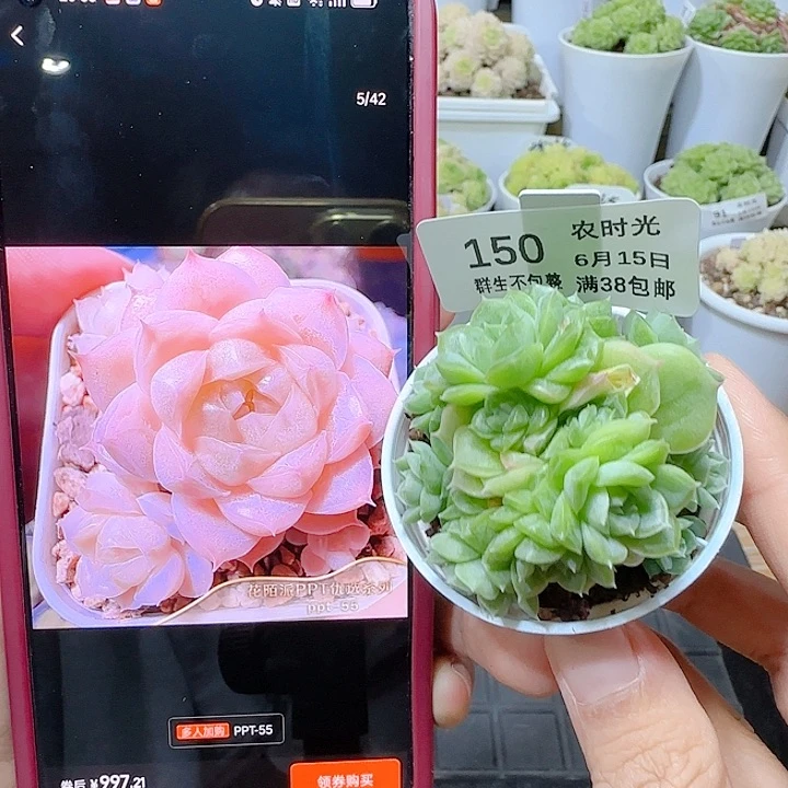 闪购商品0615-150ppt-55