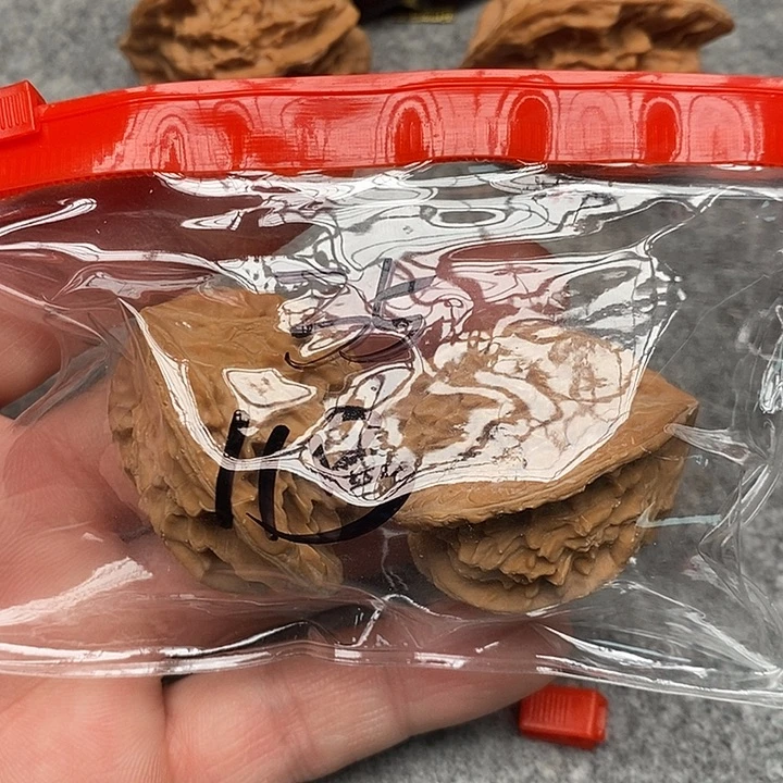 飞***飞文玩核桃吊坠三棱