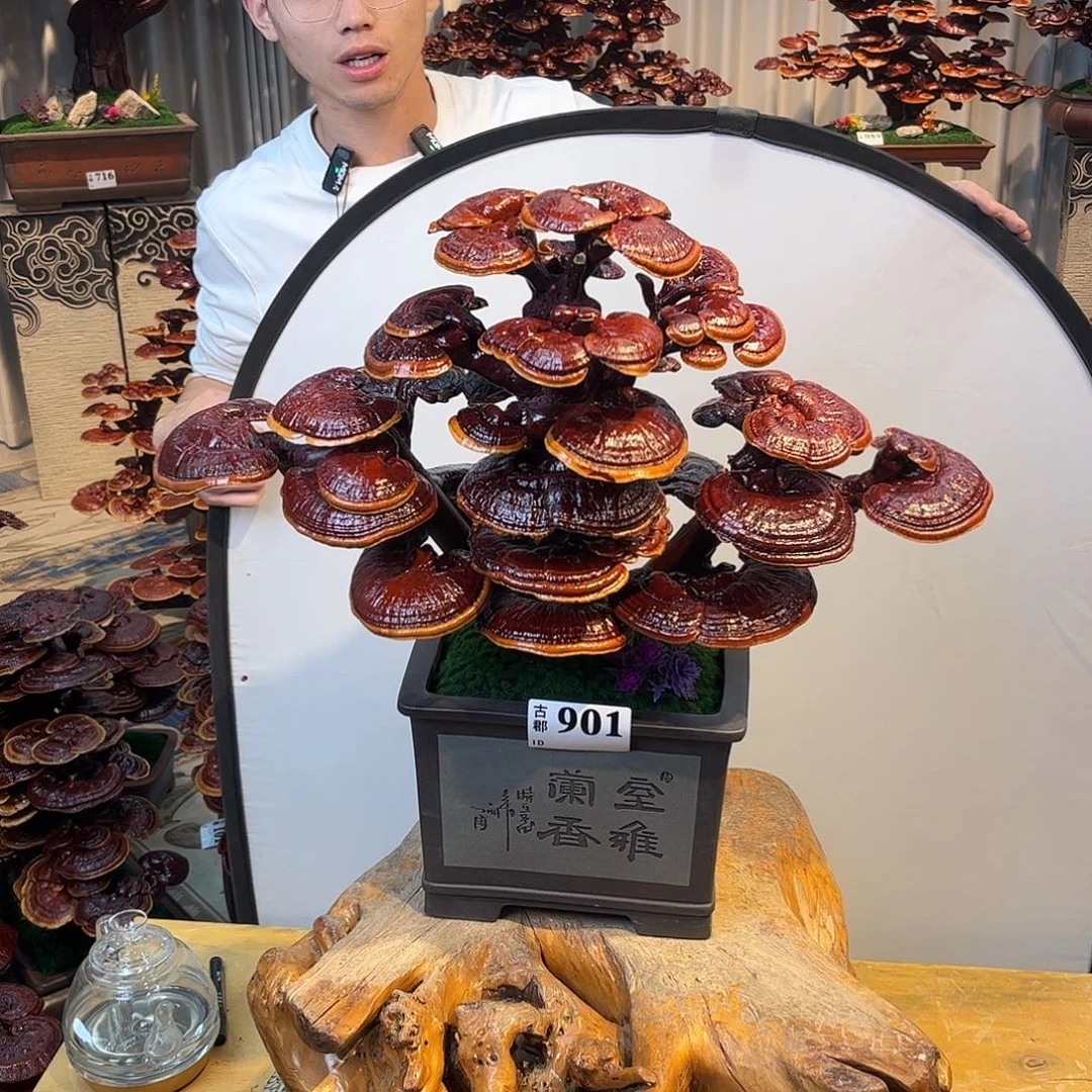 无花朵88888888888