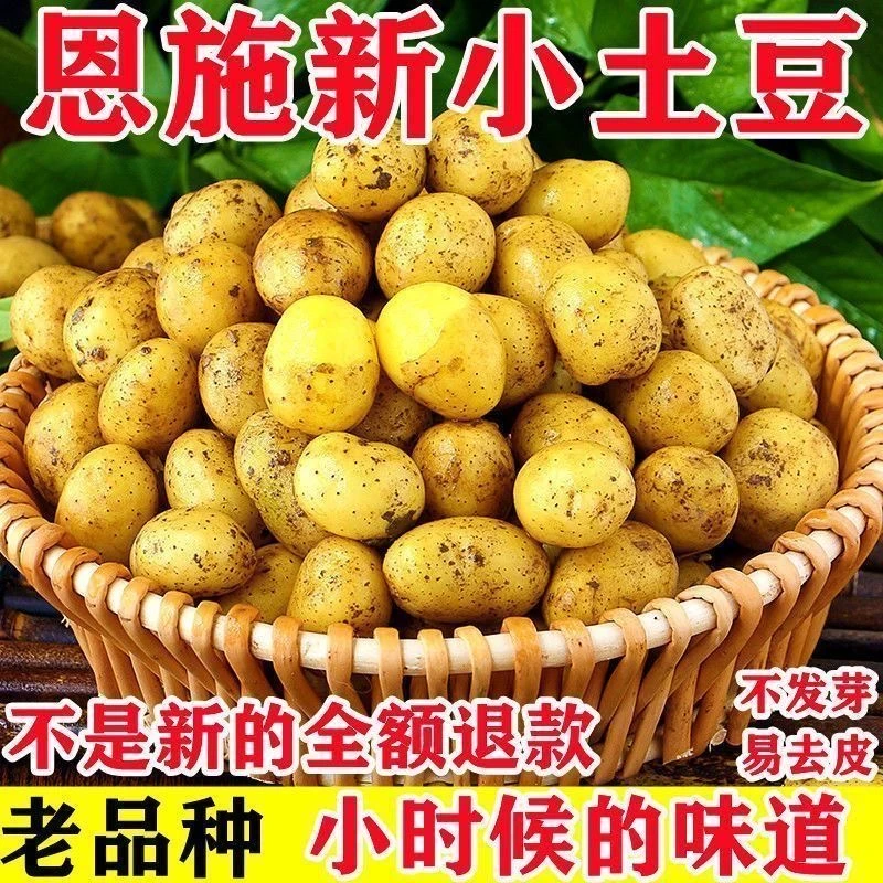 【恩施发货】农家自种新鲜现挖老品种马尔科恩施土豆马铃薯洋芋