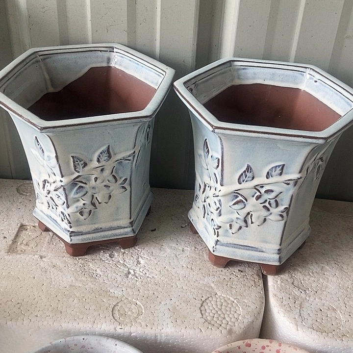 红糖18。。。。18。。。。。。