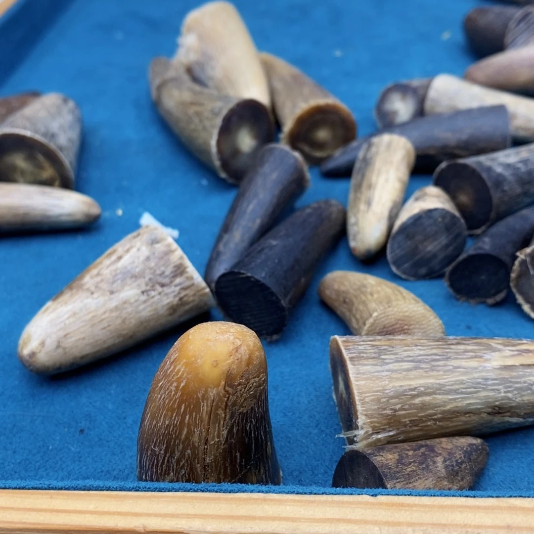 手串/手链鹿骨牦牛角