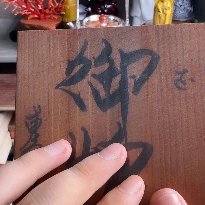 茶宠哈哈哈哈哈哈哈哈哈哈哈