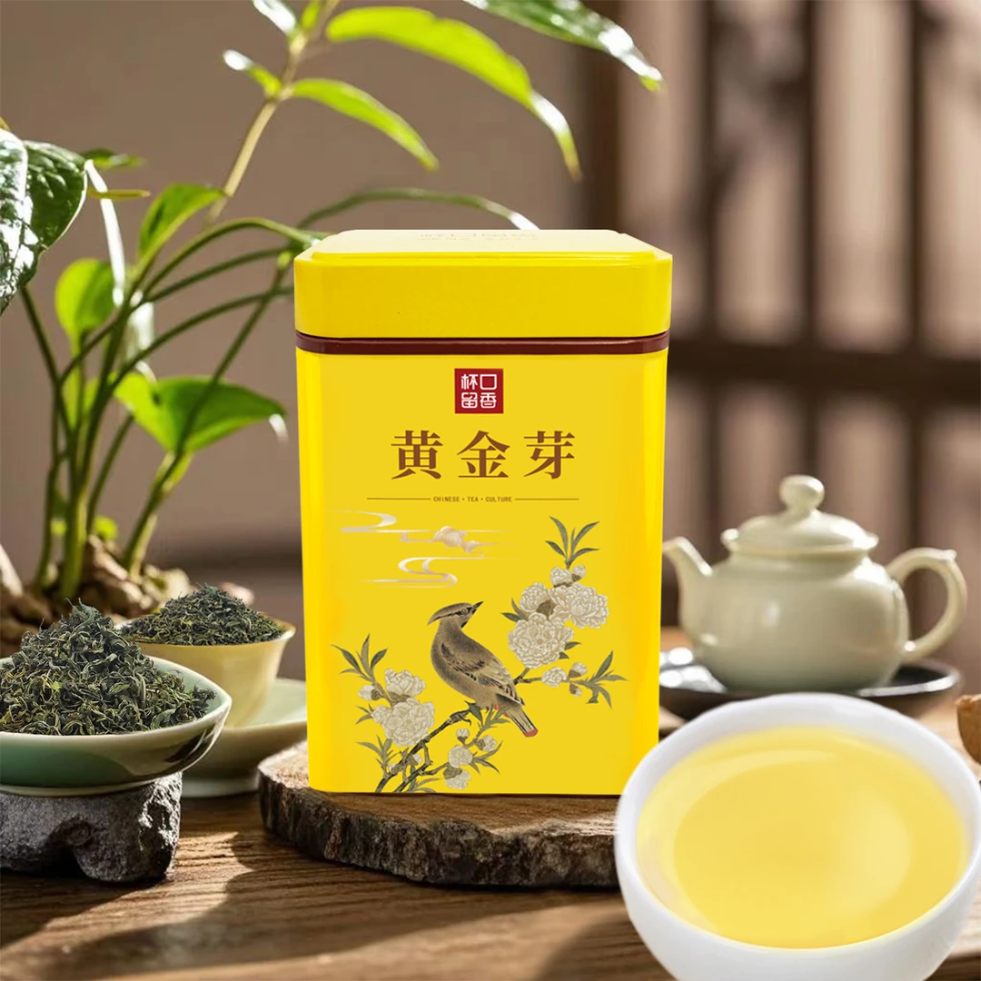 杯口留香黄金芽单罐纯手工揉制春茶口感香浓新茶