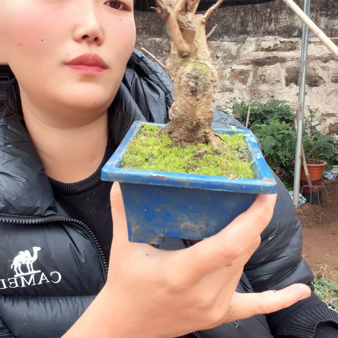 胶***销无花朵面对面的对话解决