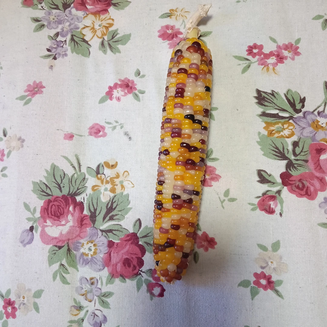 东北带壳彩色紫色甜糯花糯玉米新鲜带皮现摘水果玉米