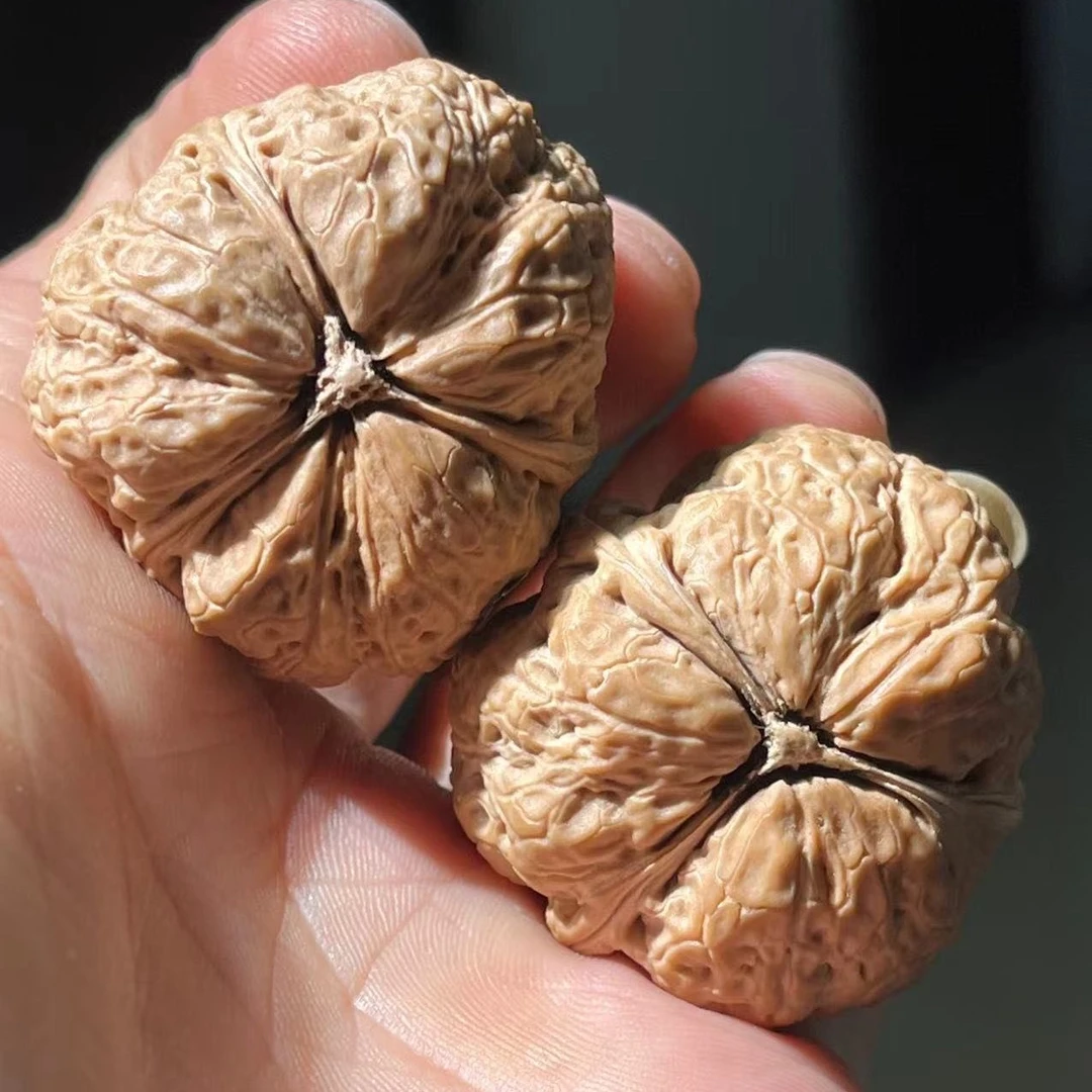 核桃把件云铁名款三棱滇王 尺寸可选