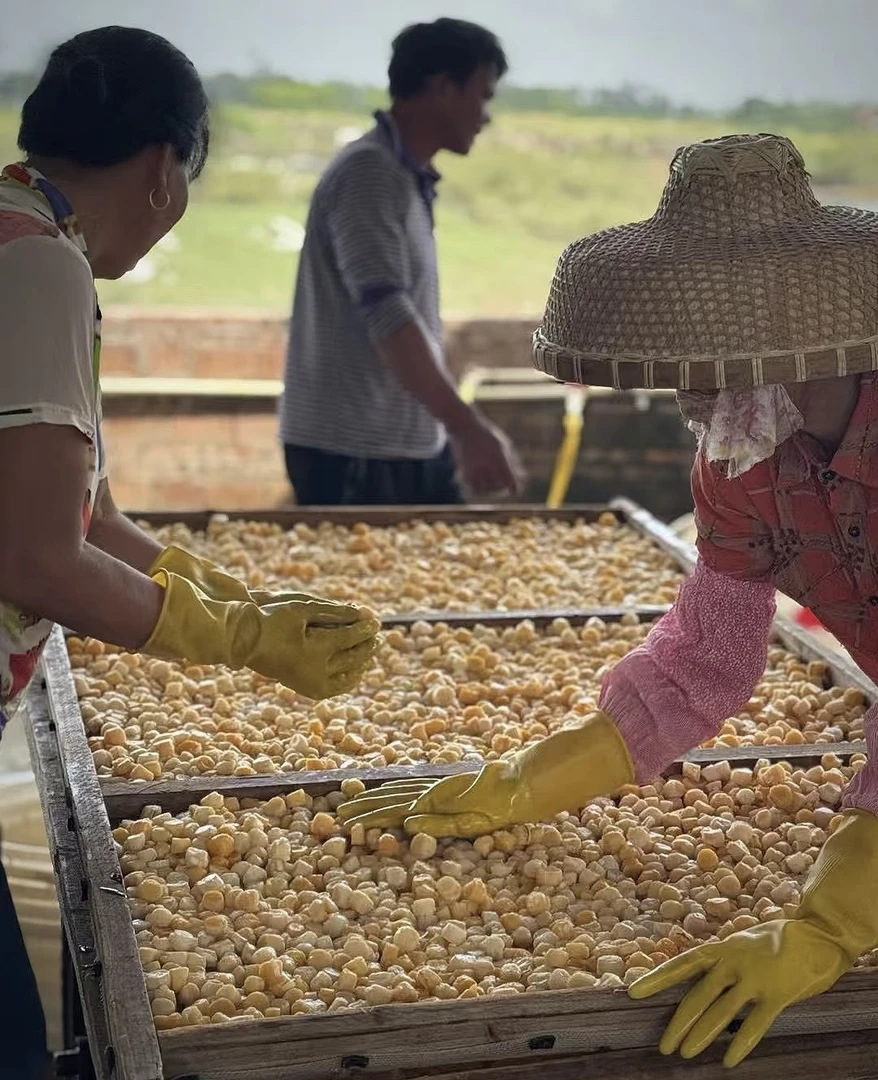 北海本港自家纯手工淡晒手工干贝瑶柱