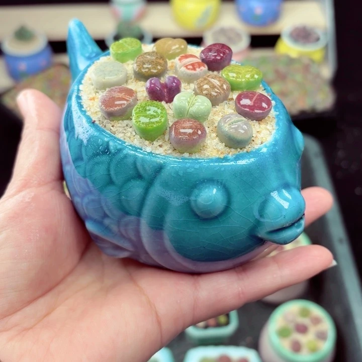 503零下地区记得拍保温箱