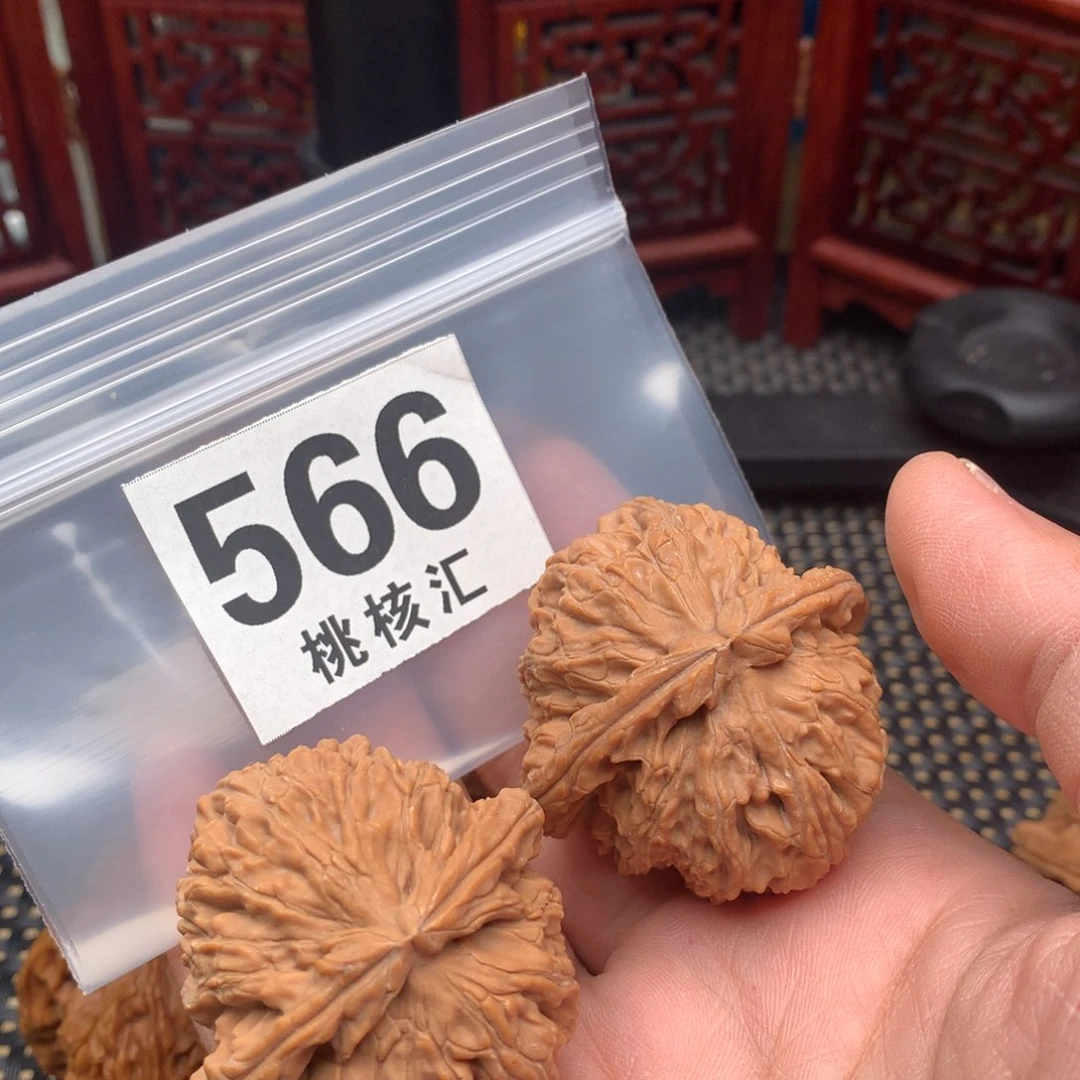 文玩核桃把件白狮子42