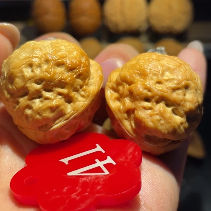七彩金蟾核桃尺寸34