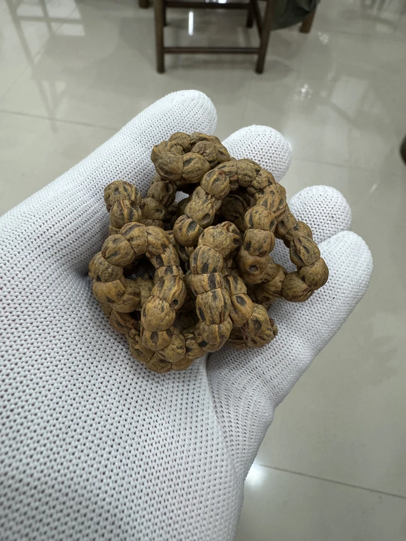 翊凡柏香—热振红牙口脏鬼大肠尺寸7mm