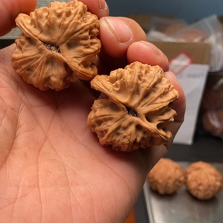 想***子手串文玩核桃40/40/37翻天印