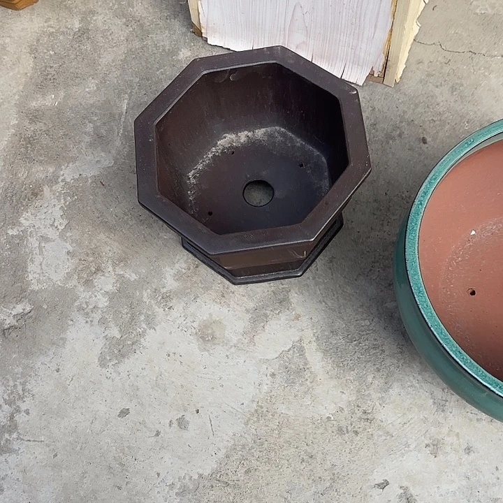 治***龙这是我的新号码哦哈哈哈哈哈