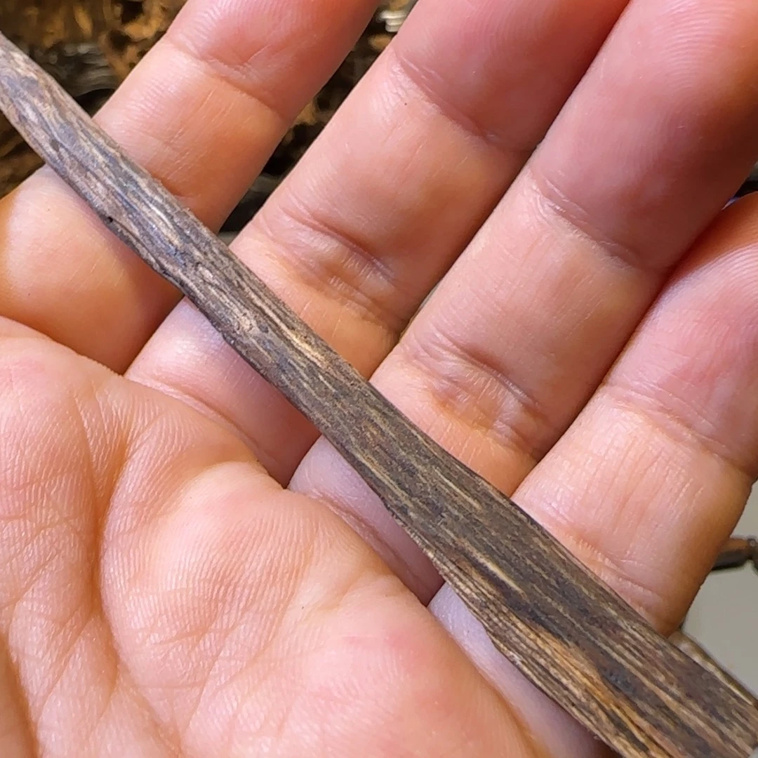 沉香碎屑沉香海南黎母山紫棋奇楠种1克