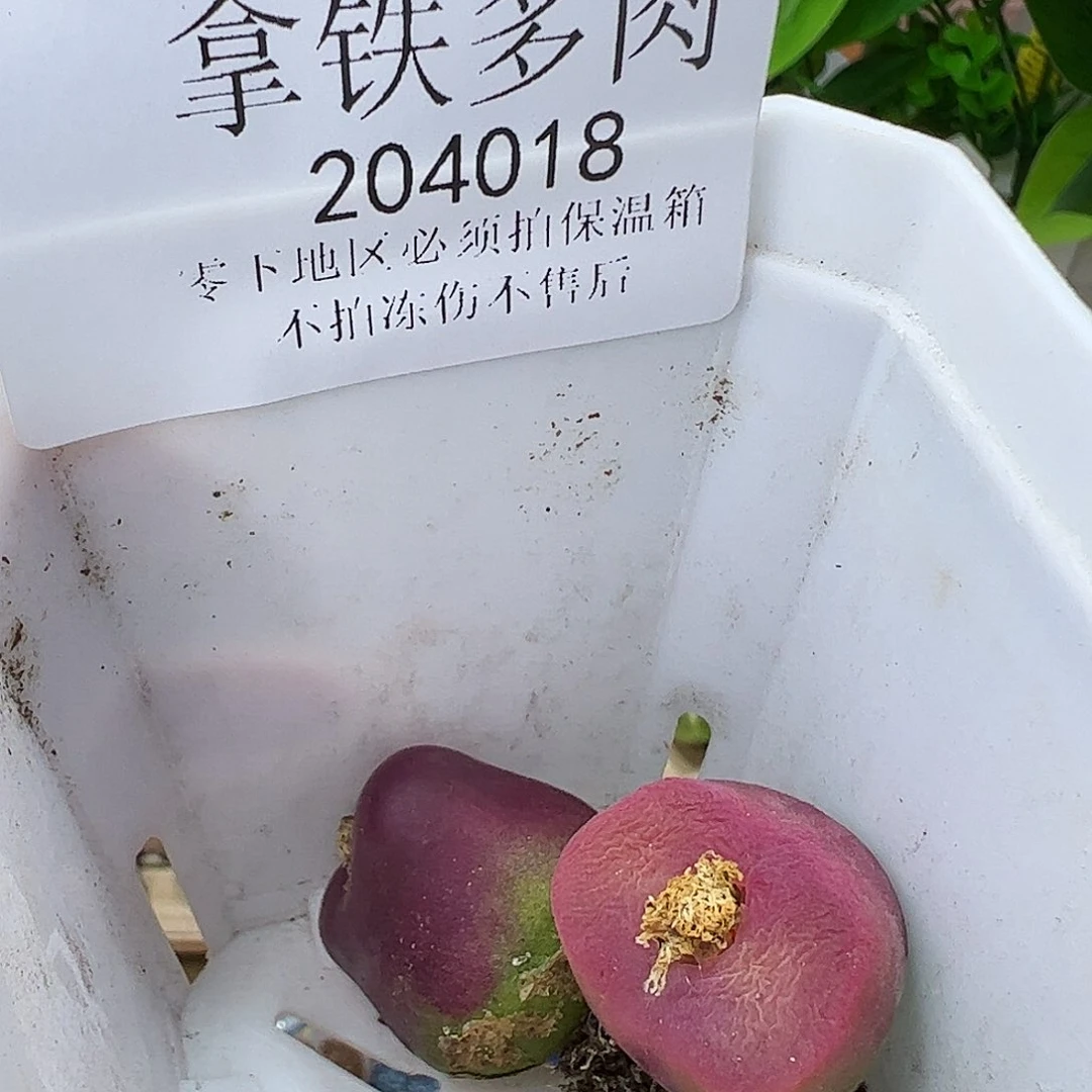 宇**-补差价204018/恭喜发财