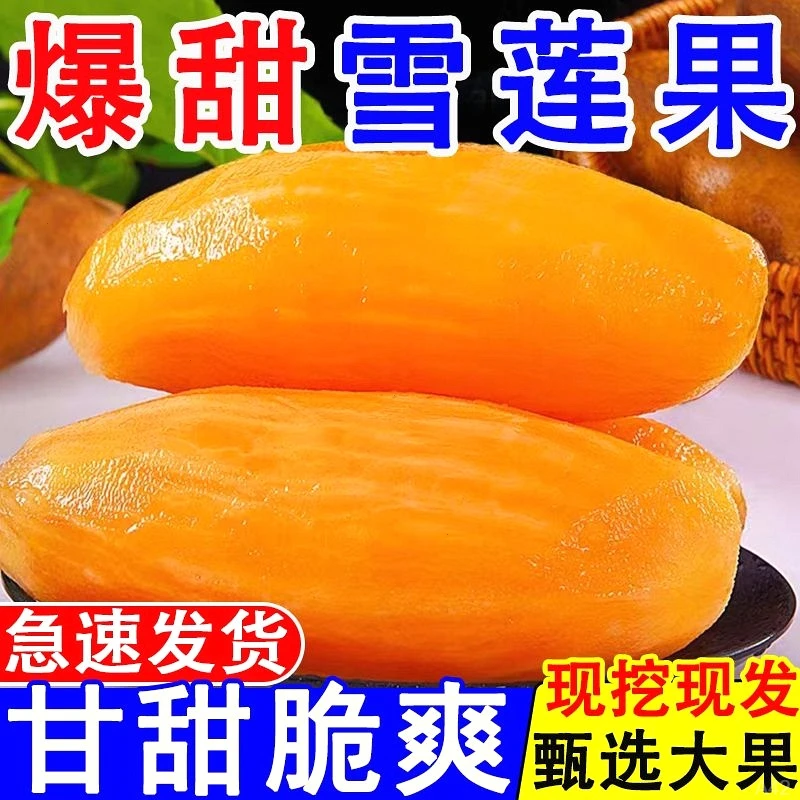 正宗特级云南天山雪莲果应季水果新鲜低糖红心现挖脆甜大果