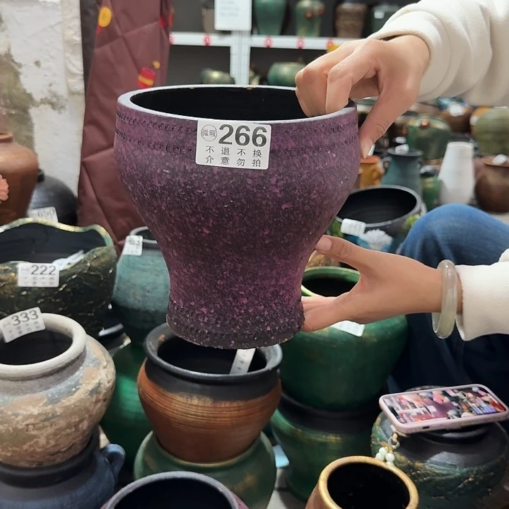 紫色鱼尾266高度20口径18