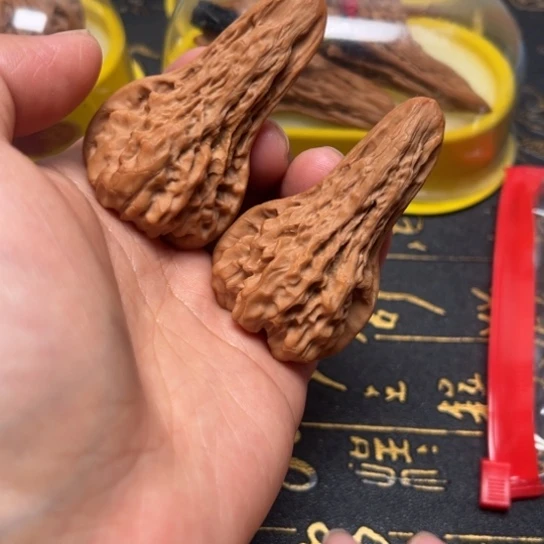 官帽异形鸭嘴高55尺