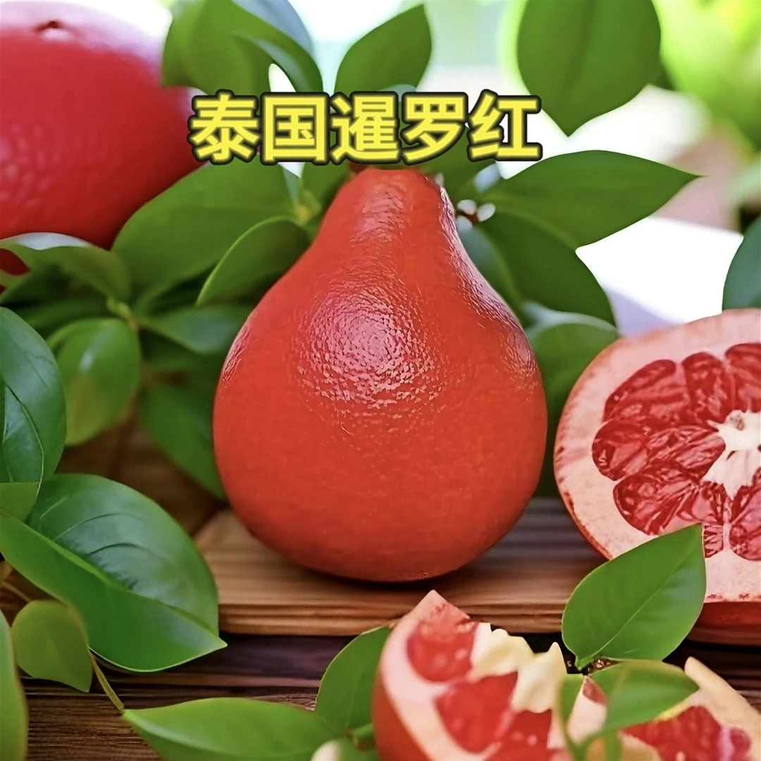 泰国暹罗红柚泰国三红柚红香妃柚嫁接苗