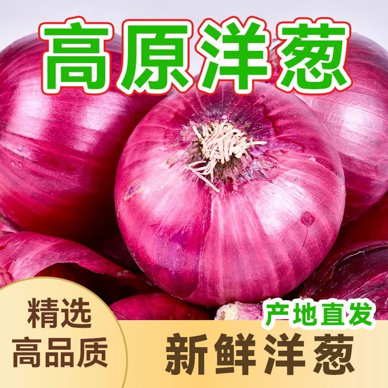 新疆珍珠水果紫生吃批发蔬菜洋葱产品牙子凉拌炒菜头新疆皮牙子