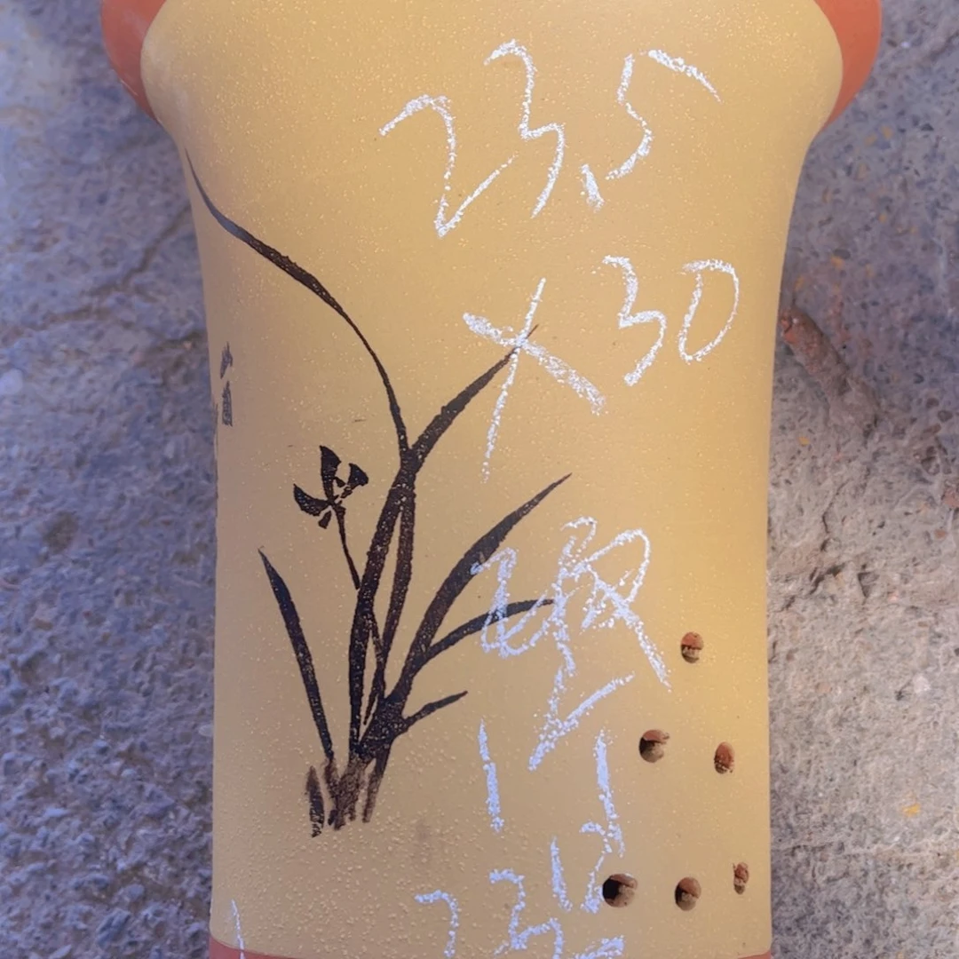 紫砂23号………………………………