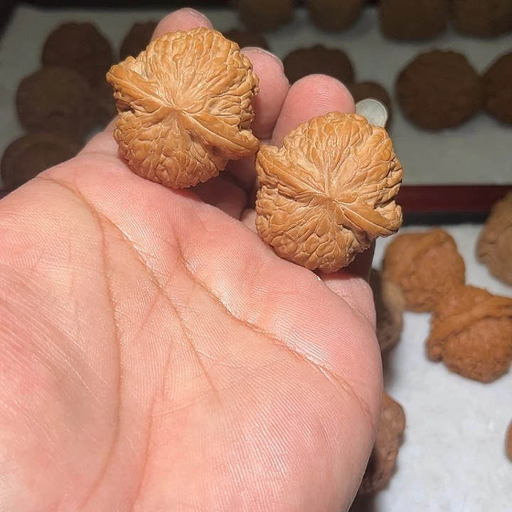 木39.5全泥鳅背。