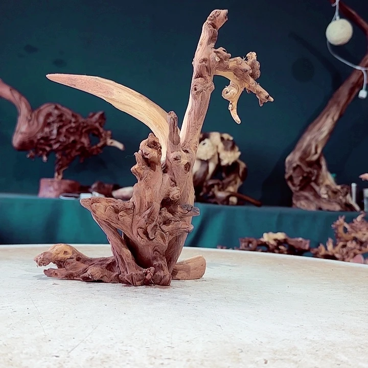 黑果木2**2876金丝红木羊蹄甲半成品