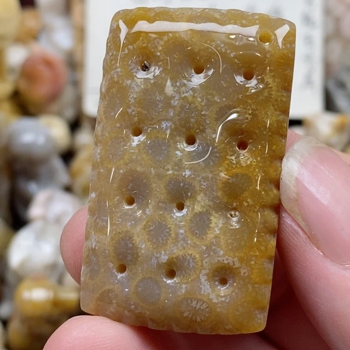 颈饰未镶嵌硅化珊瑚（珊瑚玉）