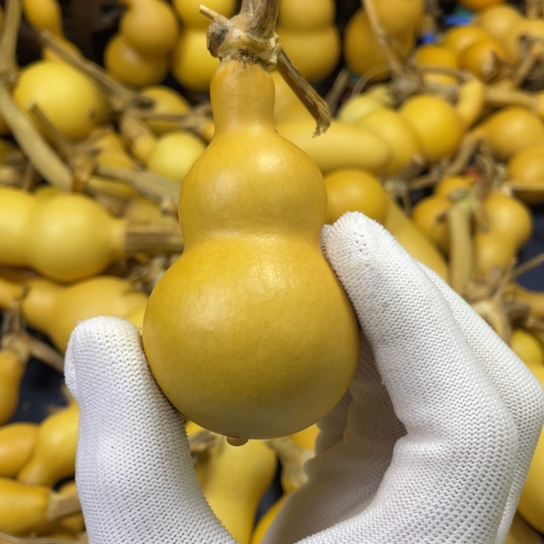 噜****大叶紫檀（黑酸枝木类）