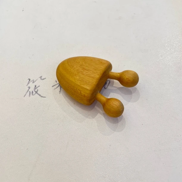 蜗牛鼻鼻按摩梳NJ111 NJ