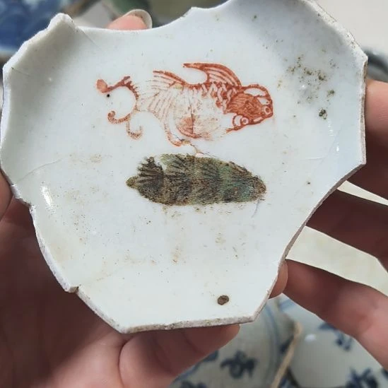 瓷片瓷片瓷片瓷片瓷片