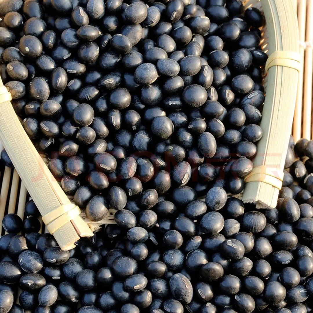 本地农家自种黑豆太阳晒干