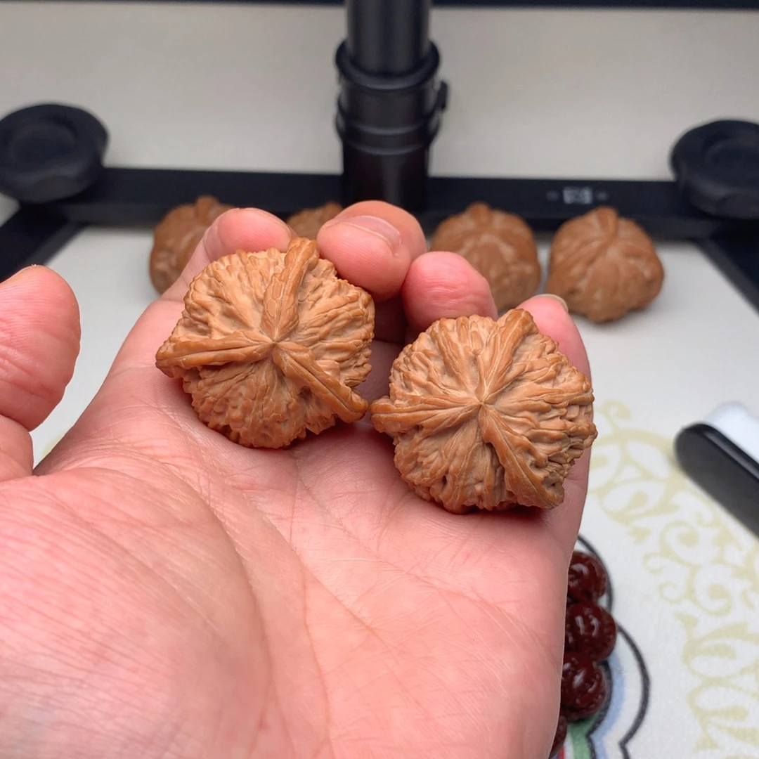 把件文玩核桃白狮子奔40
