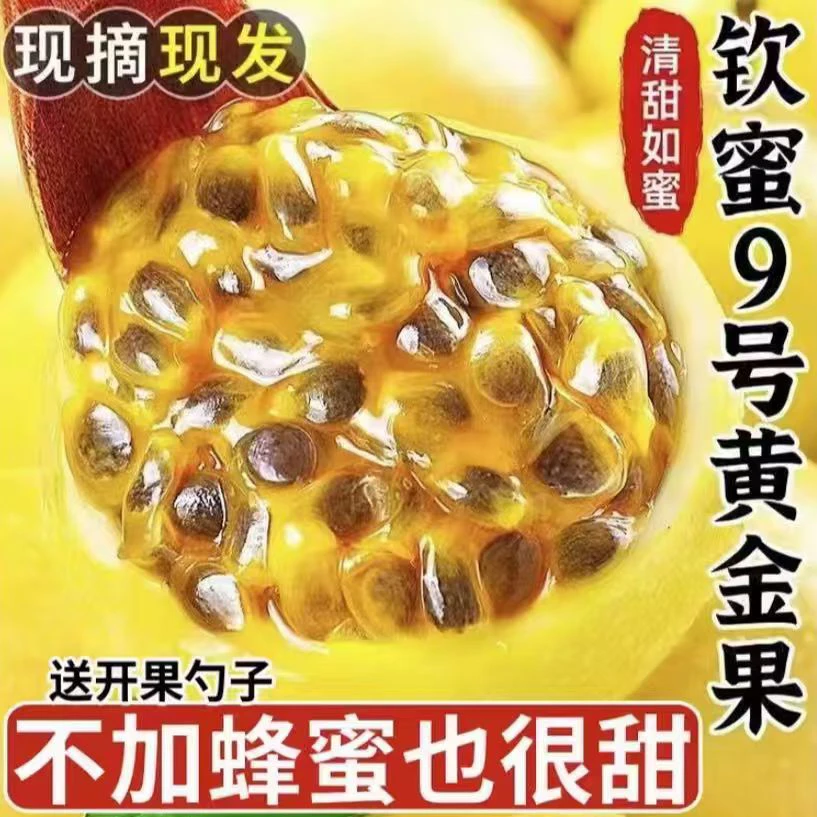 广西当季钦蜜9号黄金百香果20枚30-45果香甜多汁果味浓郁
